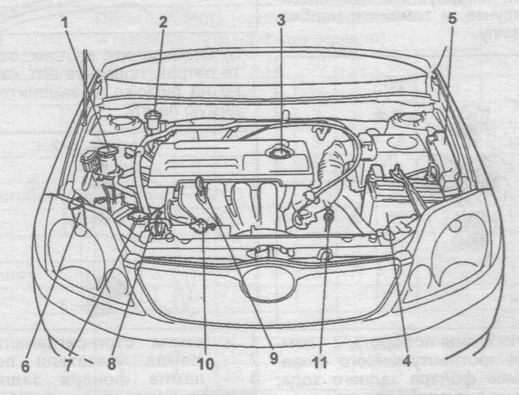 Название деталей капота. Тойота Королла 120 схема под капотом. Система охлаждения двигателя 1nz-Fe. ДВС 1zz-Fe под капотом. Система охлаждения двигателя 1zz-Fe.